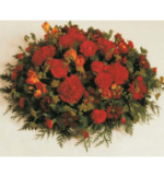 Red Posy Pad