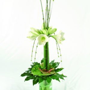 CASCADE Tall modern arrangement in a container