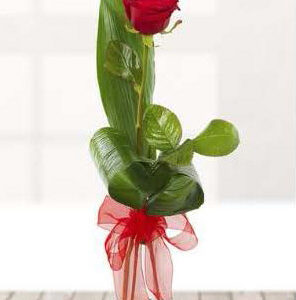 single-red-rose-in-a-vase-£25.00